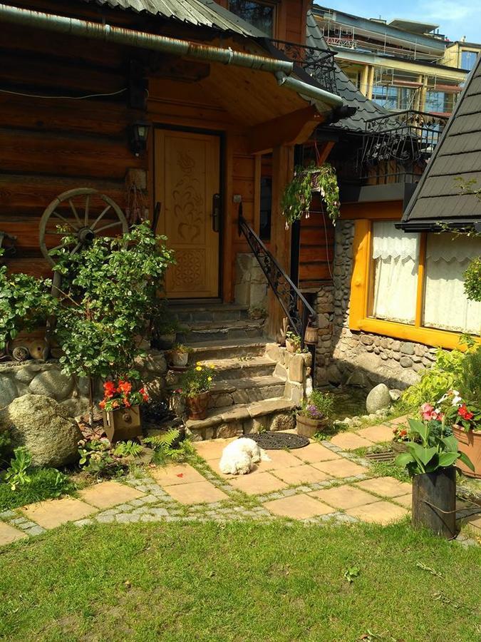 Appartamento Figusowka Zakopane Esterno foto